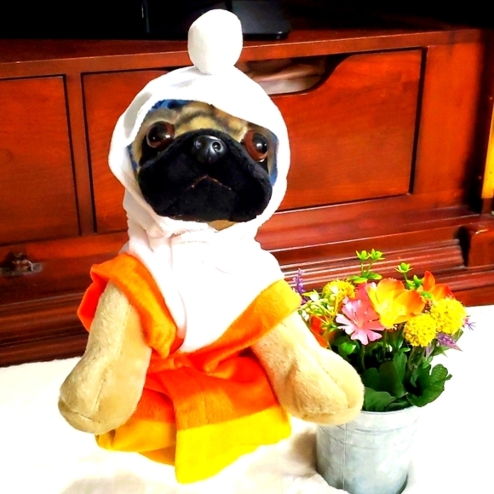 DOG HALLOWEEN CANDY 🍬 COSTUME WITH HOODIE 🐶